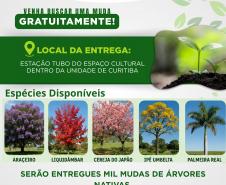 Ceasa Curitiba recebe ação do Projeto Um Milhão de Árvores, com a distribuição de mil mudas e a presença da Família Folha