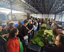 Estudantes do curso de Gastronomia do IFPR visitam a Ceasa de Foz do Iguaçu