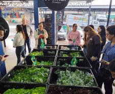Estudantes do curso de Gastronomia do IFPR visitam a Ceasa de Foz do Iguaçu