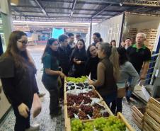 Estudantes do curso de Gastronomia do IFPR visitam a Ceasa de Foz do Iguaçu