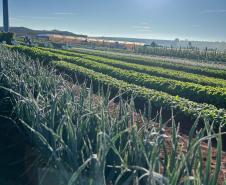 Ceasa Paraná aproxima jovens das tecnologias do campo