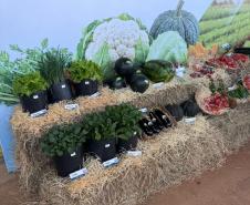 Ceasa Paraná aproxima jovens das tecnologias do campo