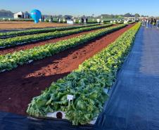 Ceasa Paraná aproxima jovens das tecnologias do campo