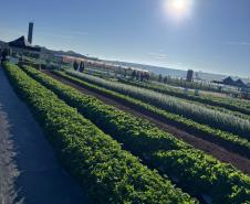 Ceasa Paraná aproxima jovens das tecnologias do campo