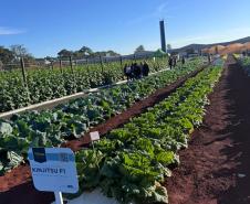 Ceasa Paraná aproxima jovens das tecnologias do campo