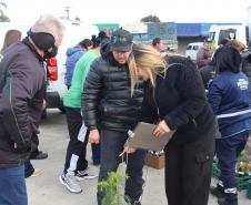 Entrega de Mudas_CEASA_CURITIBA