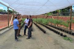 Ceasa Paraná visita Projeto Horta Solidária de Foz do Iguaçu