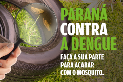 Paraná Contra a Dengue 