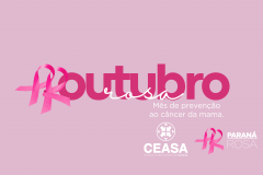 Ceasa Curitiba terá ações da Campanha Outubro Rosa