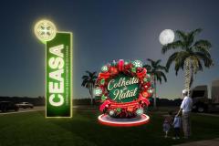 COLHEITA DE NATAL