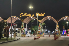 colheita de natal