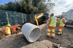 Ceasa Paraná em obras: sustentabilidade e modernização