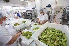 Ceasa Paraná inspira criação de projeto para combater a fome no país