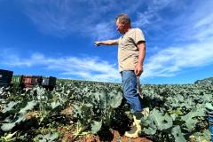 29 de Setembro: Dia Internacional contra o Desperdício e o trabalho transformador da Ceasa Paraná