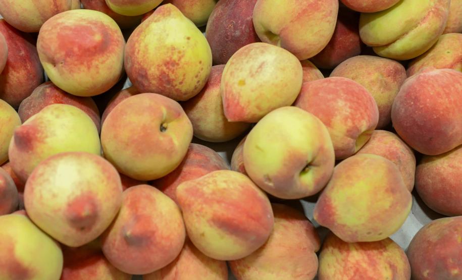 Foto: Albari Rosa/ArquivoAEN