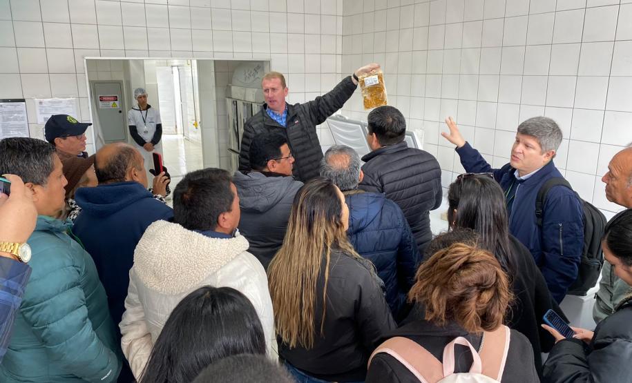 América Latina e Caribe