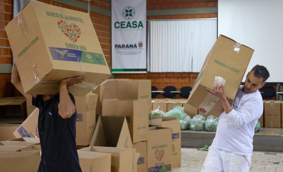 Arrecadação de alimentos na Ceasa Curitiba supera expectativa e chega a 33 toneladas