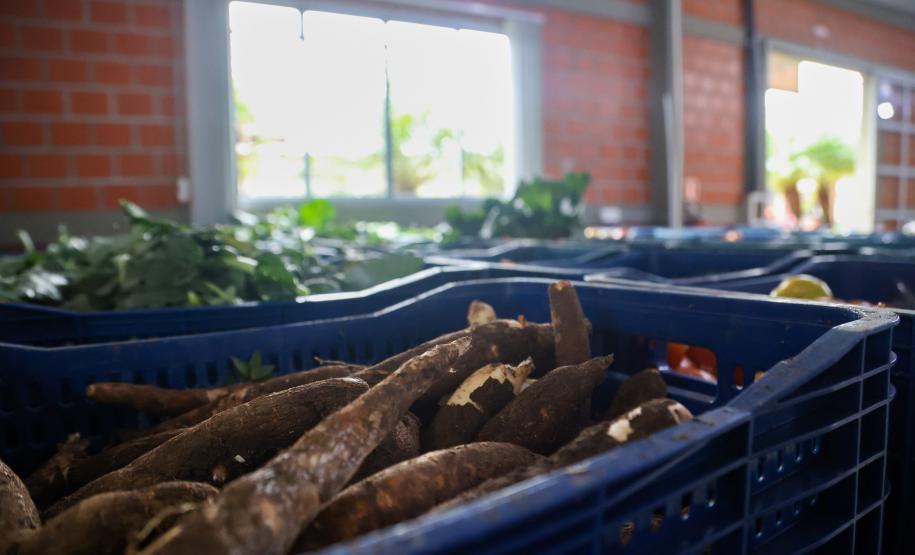 Arrecadação de alimentos na Ceasa Curitiba supera expectativa e chega a 33 toneladas