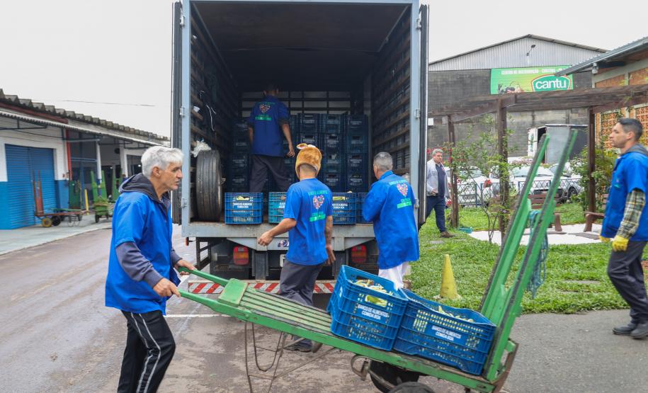 Estado mobiliza doação de 8 toneladas de frango por cooperativas; Defesa Civil entrega de cestas básicas