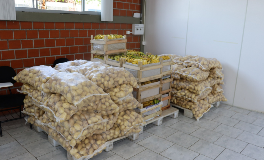 Doação de 12 toneladas