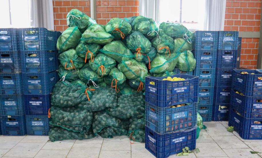 Ceasa Paraná envia mais de 25 toneladas de alimentos para cidades afetadas pelas chuvas