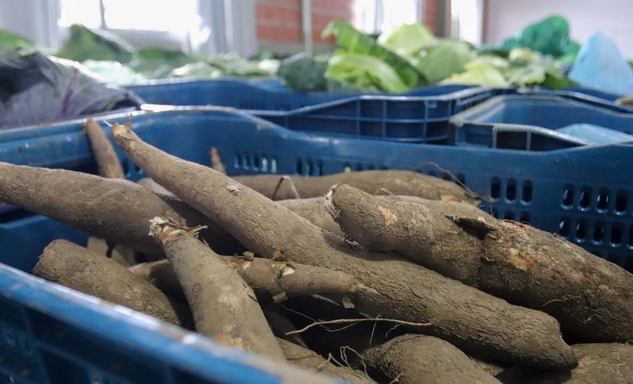 Ceasa Paraná envia mais de 25 toneladas de alimentos para cidades afetadas pelas chuvas