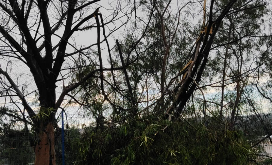 temporal londrina 2024