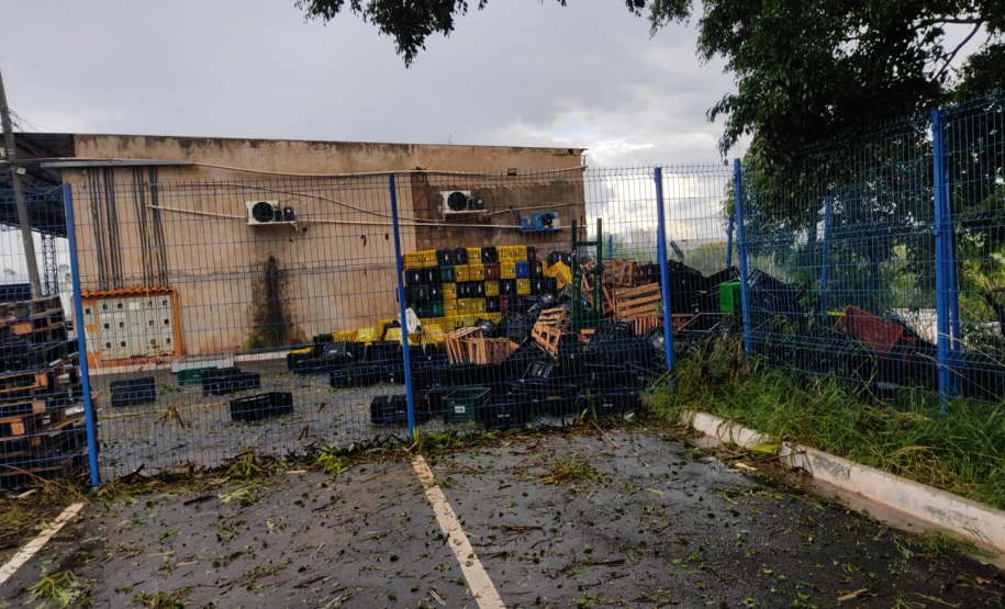 temporal londrina 2024