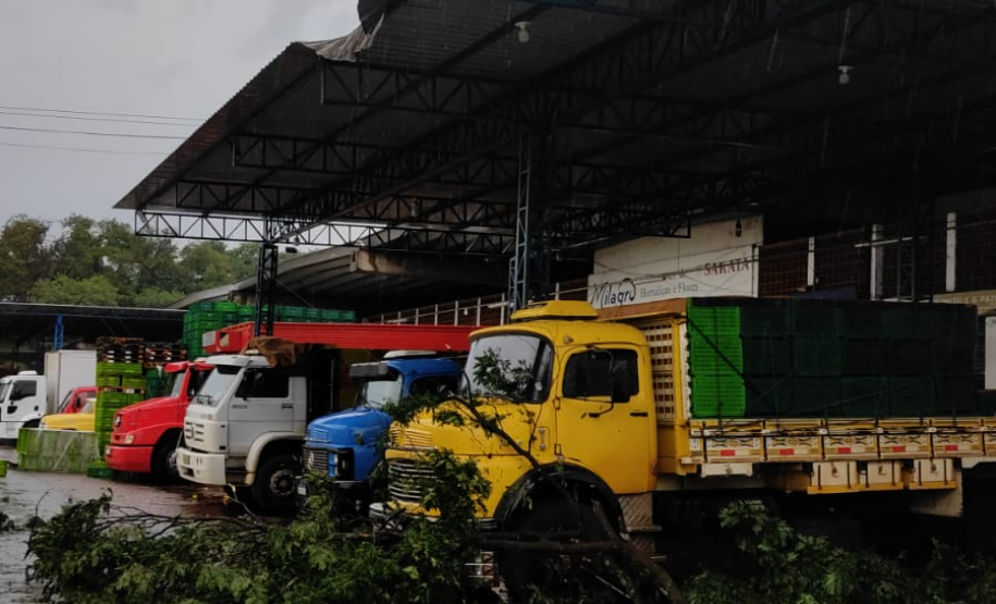 temporal londrina 2024