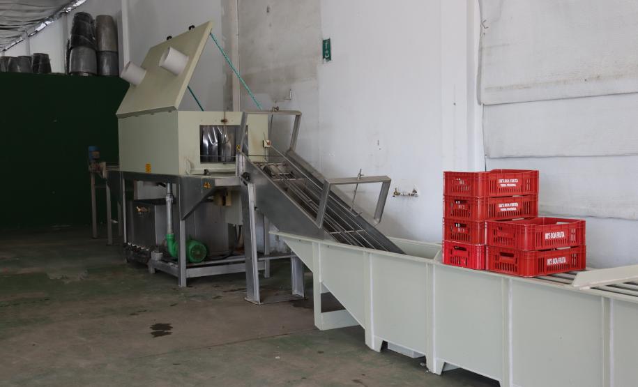 Ceasa Curitiba e Sindaruc assinam termo de cooperação técnica para higienização de caixarias no mercado.