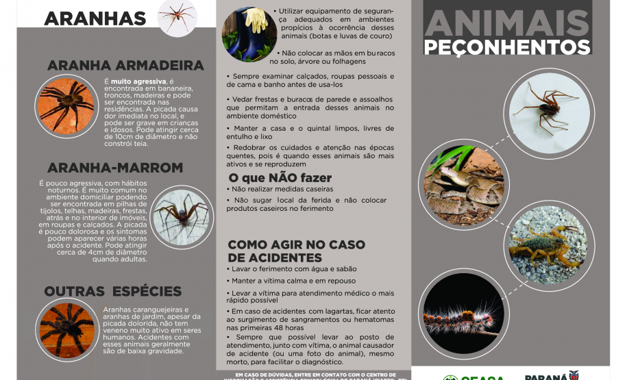 ANIMAIS PEÇONHENTOS