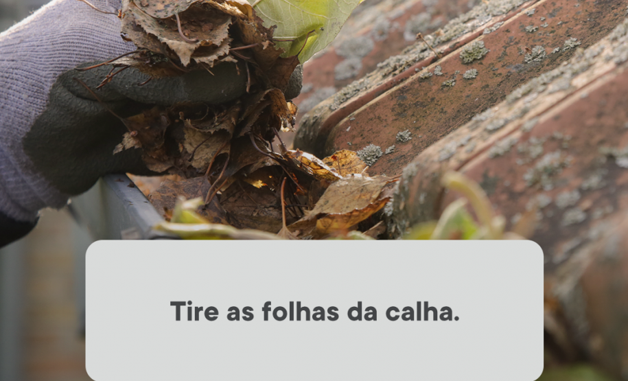 Paraná Contra a Dengue