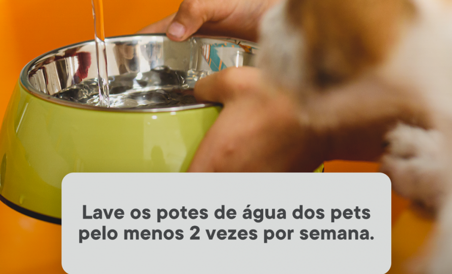 Paraná Contra a Dengue