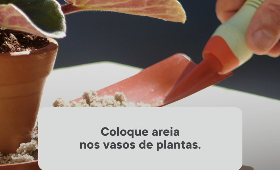 Paraná Contra a Dengue