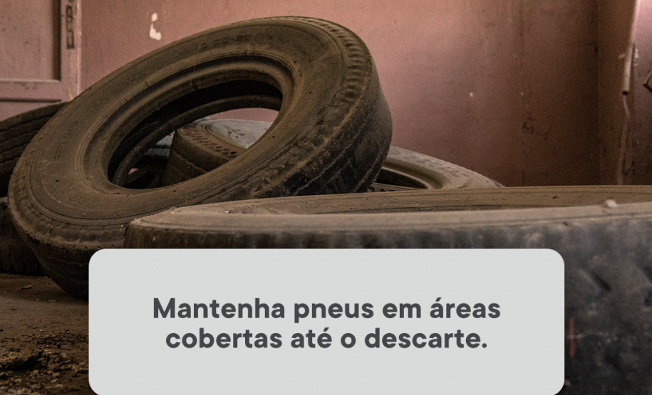 Paraná Contra a Dengue