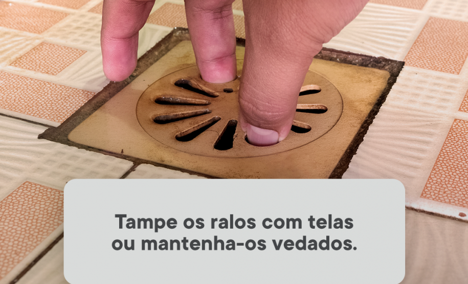 Paraná Contra a Dengue