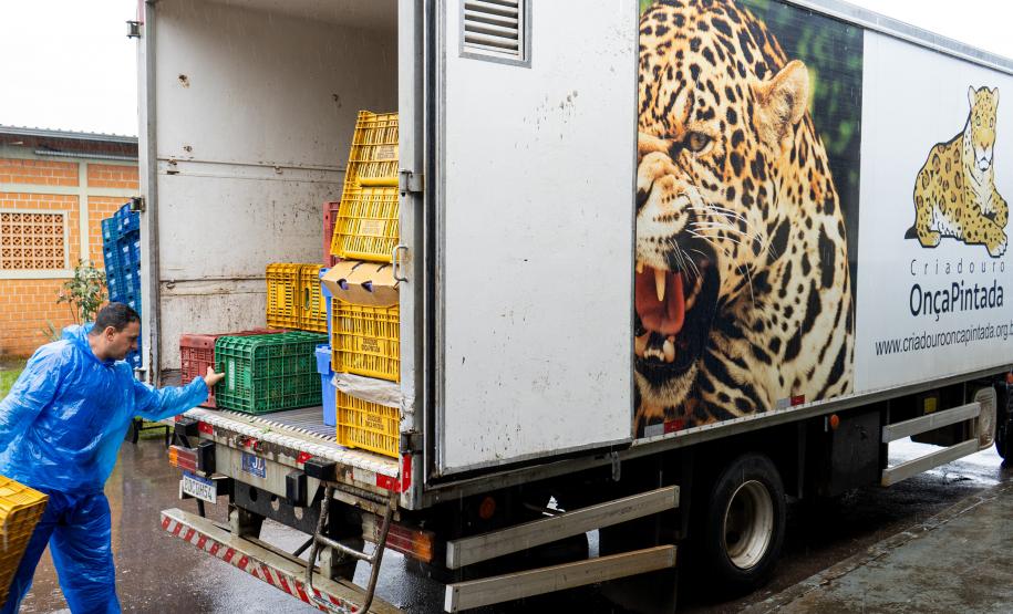 Parceria entre IAT e Ceasa ajuda a matar a fome de animais silvestres em criadouros