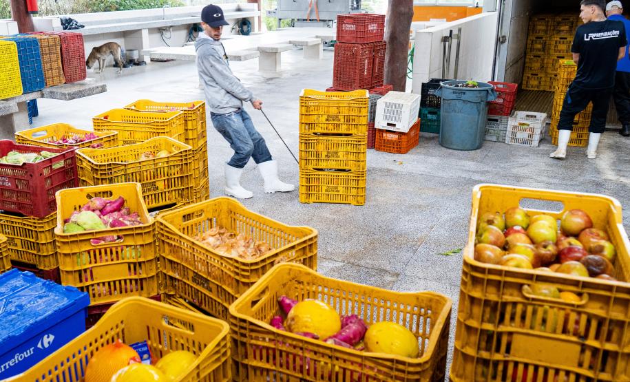 Parceria entre IAT e Ceasa ajuda a matar a fome de animais silvestres em criadouros