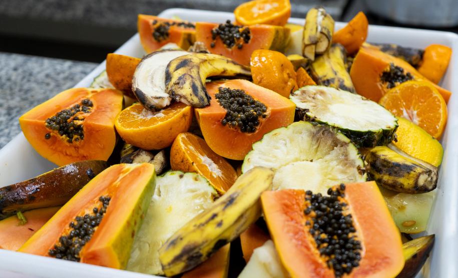 Parceria entre IAT e Ceasa ajuda a matar a fome de animais silvestres em criadouros