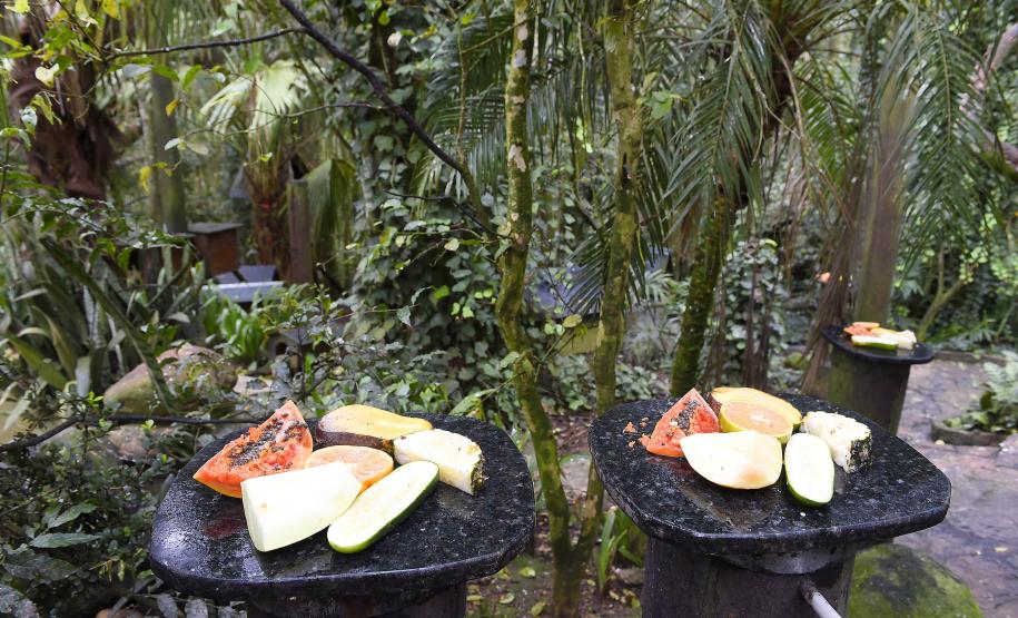 Parceria entre IAT e Ceasa ajuda a matar a fome de animais silvestres em criadouros