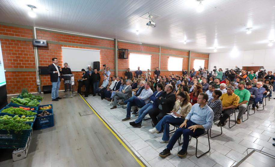 Cofundadora do Pacto Contra Fome elogia Banco de Alimentos do Paraná: "modelo espetacular"