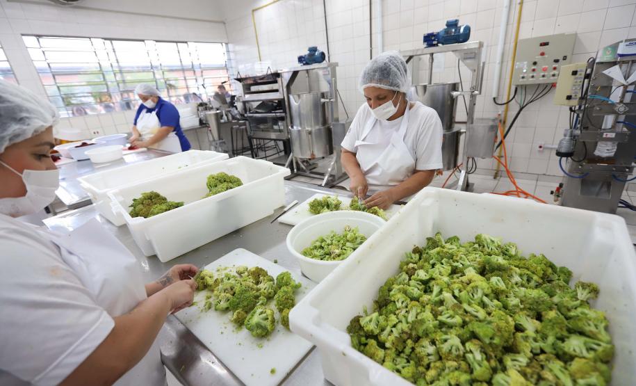 O governador Carlos Massa Ratinho Junior e o ministro do Desenvolvimento Agrário e Agricultura Familiar, Paulo Teixeira, visitam a Ceasa Curitiba nesta sexta-feira (08).