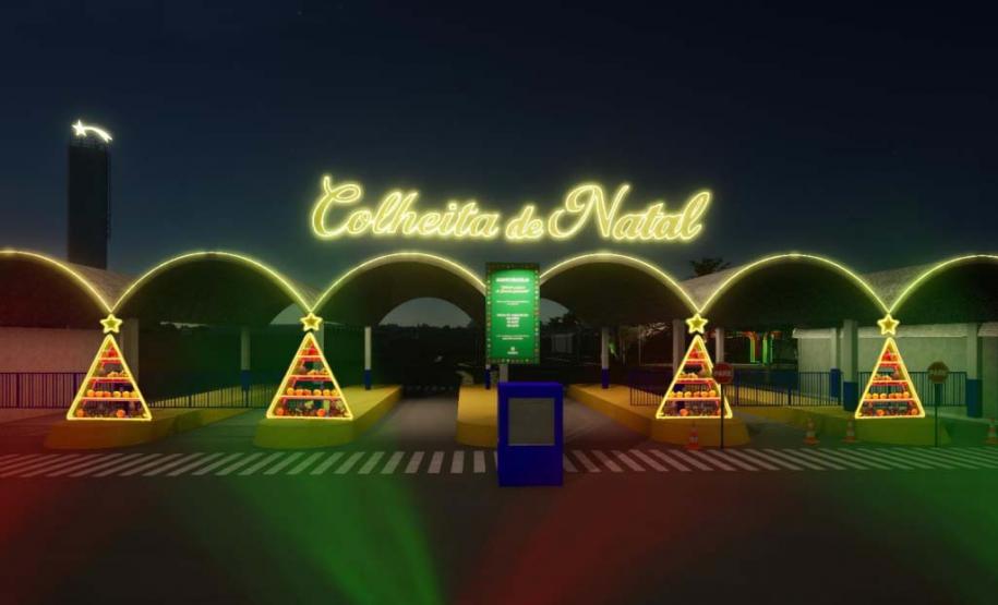 COLHEITA DE NATAL