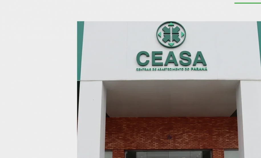 férias empreendedoras