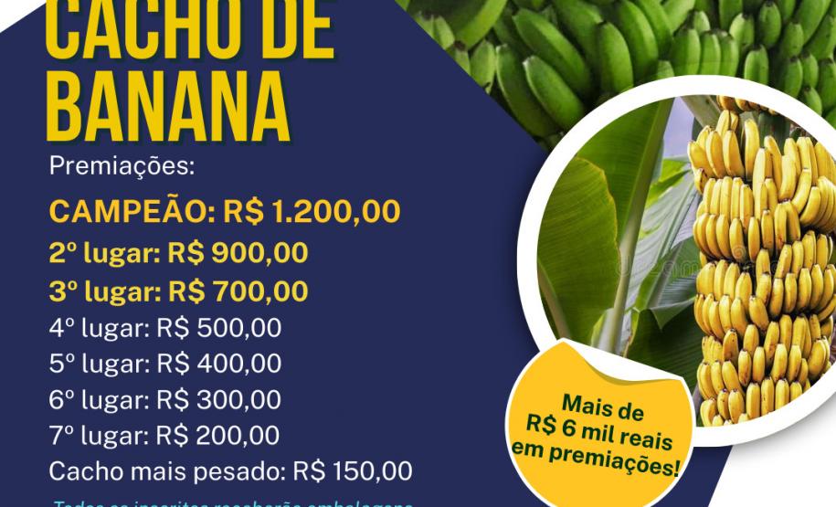Concurso premiou os melhores cachos de banana, destacando a qualidade da produção no Vale do Ivaí.