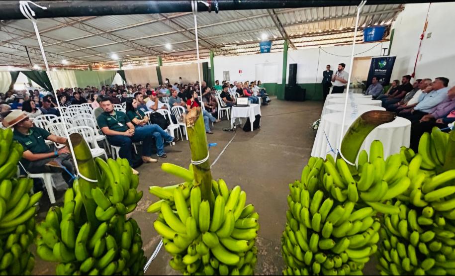 12º Encontro Regional de Produtores de Banana