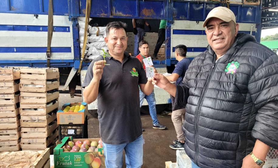 Ceasa Paraná faz ações especiais no Dia Mundial do Meio Ambiente