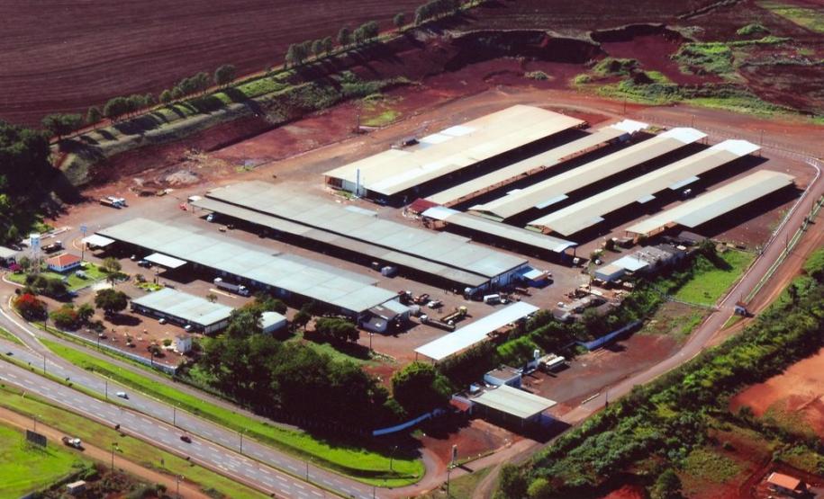 Ceasa de Foz do Iguaçu terá licitação de áreas para o comércio de hortigranjeiros