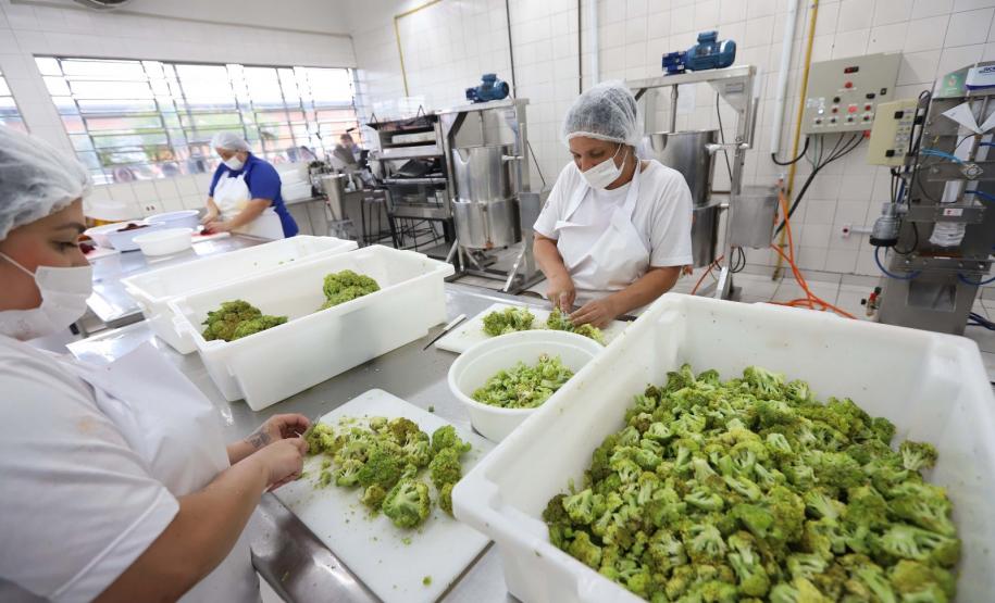 Ceasa Paraná inspira criação de projeto para combater a fome no país