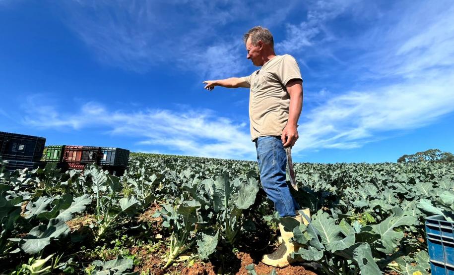 29 de Setembro: Dia Internacional contra o Desperdício e o trabalho transformador da Ceasa Paraná